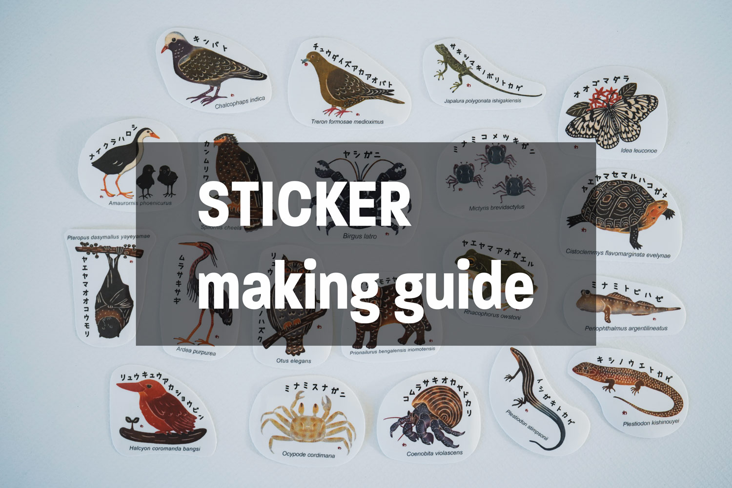 sticker making guide